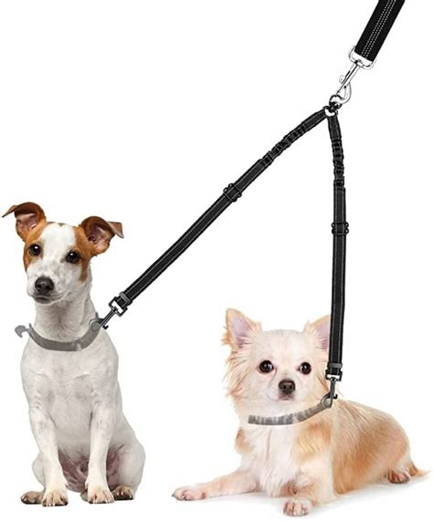 The dog daddy magiclasp leash